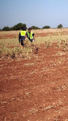Agrocampo Petit
