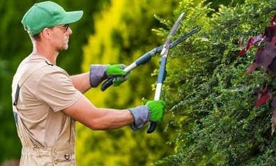 EMPLEO DE JARDINERO