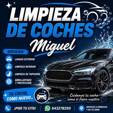 Limpieza de Coches Miguel