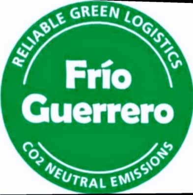 CONDUCTOR PROFESIONAL C + E
