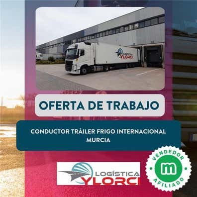 CONDUCTOR TRÁILER FRIGO INTERNACIONAL