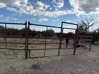 LOTE DE CANCILLAS