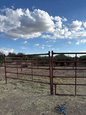 LOTE DE CANCILLAS
