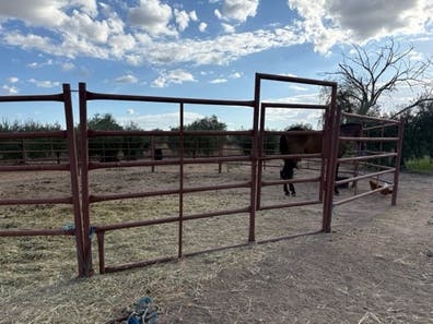 LOTE DE CANCILLAS