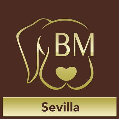 Peluquera Canina/Felina