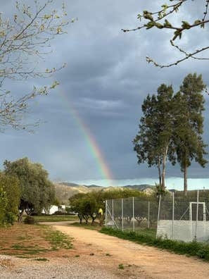 Cuidador/a de perros
