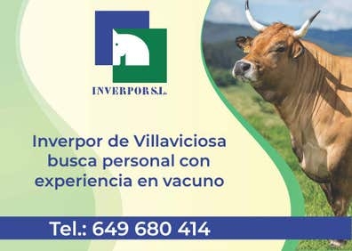 Personal para Ganadería de Vacuno Carne