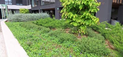 Peon jardinería con carnet de conducir