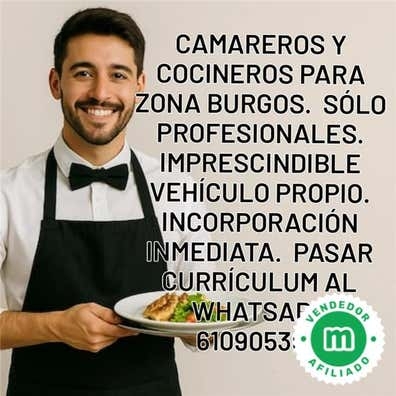 Buscamos Camareros Y Cocineros en Burgos