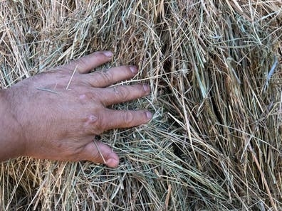 Heno de hierba natural