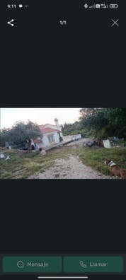 Cuidador Canino días sueltos