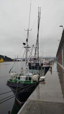 SE BUSCA PATRÓN DE PESCA DE BAJURA