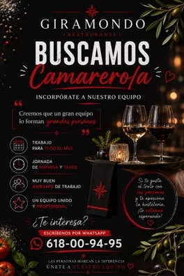 Buscamos Camarero
