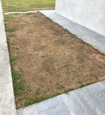 Embaldosar terreno