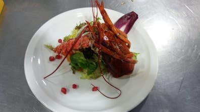 se necesita cocinero