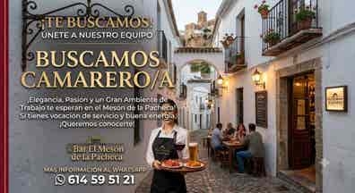 se solicita camarero