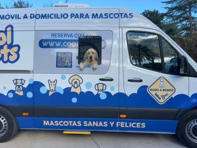 Peluquer@ para mascotas