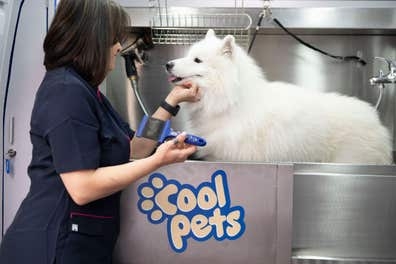Peluquer@ para mascotas