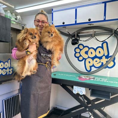 Peluquer@ para mascotas