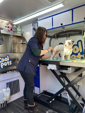 Peluquer@ para mascotas