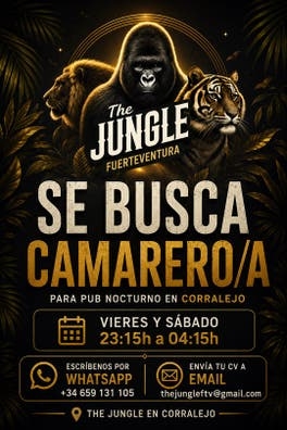 Se busca camarero/a – Viernes y sábados