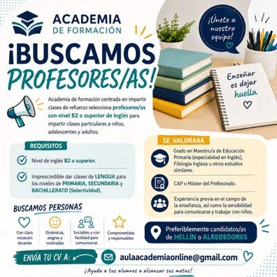 Profesor/a