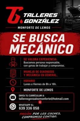 Mecánico de vehículos