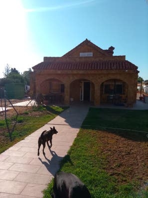 Mmantenimiento