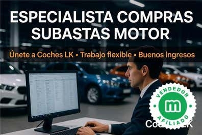 ESPECIALISTA EN SUBASTAS EUROPEAS