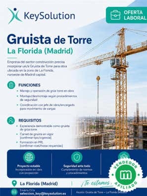 Gruistas - Operador Grúa Torre
