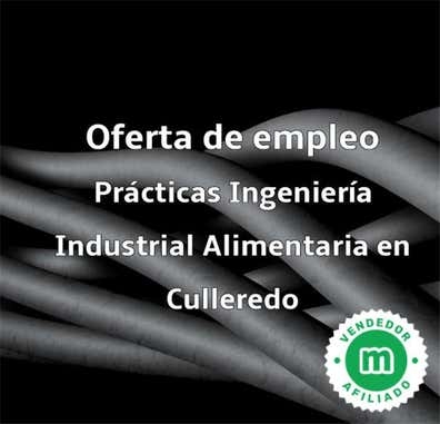 PRÁCTICAS INGENIERÍA INDUSTRIAL / MECÁNI