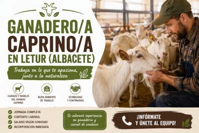 Ganaderos Caprinos en Letur (Albacete)