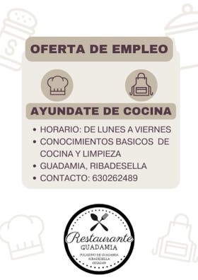 AYUDANTE DE COCINA