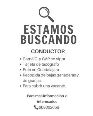 Conductor Camión C