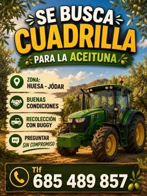 TRABAJO PARA LA ACEITUNA 26/27