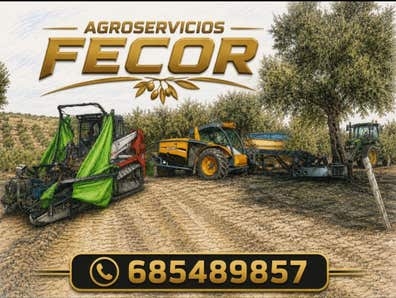 TRABAJO PARA LA ACEITUNA 26/27