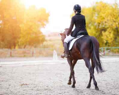 mozo para hipica