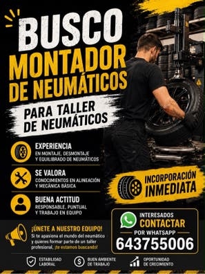 Cambiador de neumáticos