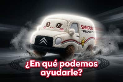 Chofer repartidor