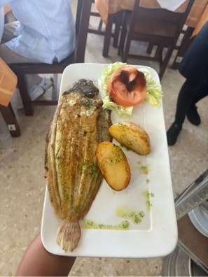 Camarero, cocinero y pinche de cocina