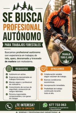 TRABAJOS FORESTALES