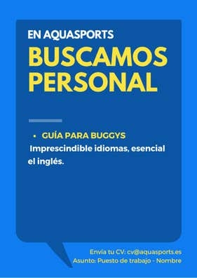 GUÍA BUGGIES