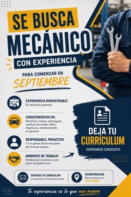 Se busca mecánico con experiencia (Sur)