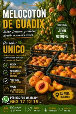 VENTA Melocoton de guadix