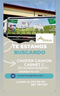 Chófer de camión