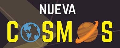 PROFESOR DE AUTOESCUELA CLASES PRÁCTICAS