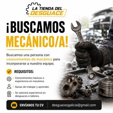 SE BUSCA MECÁNICO PARA DESGUACE