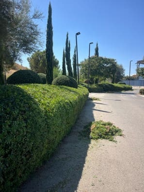 Jardinería, desbroces, podas, setos