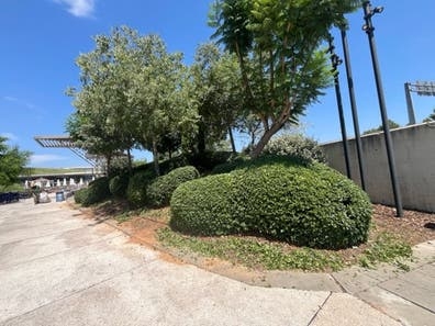 Jardinería, desbroces, podas, setos