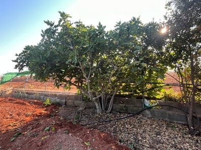 Jardinería, desbroces, podas, setos